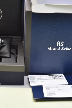 Grand Seiko Evolution 9 Spring Drive 5 jours, White Birch, état neuf, avec papiers et boîte