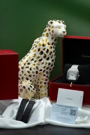 2025 Cartier Santos WSSA0089