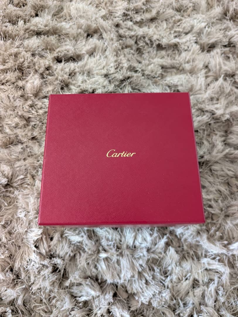 Montre homme Cartier Santos Dual Time WSSA 0076 – Image 15